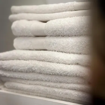 Da Rossella Apartment Rome